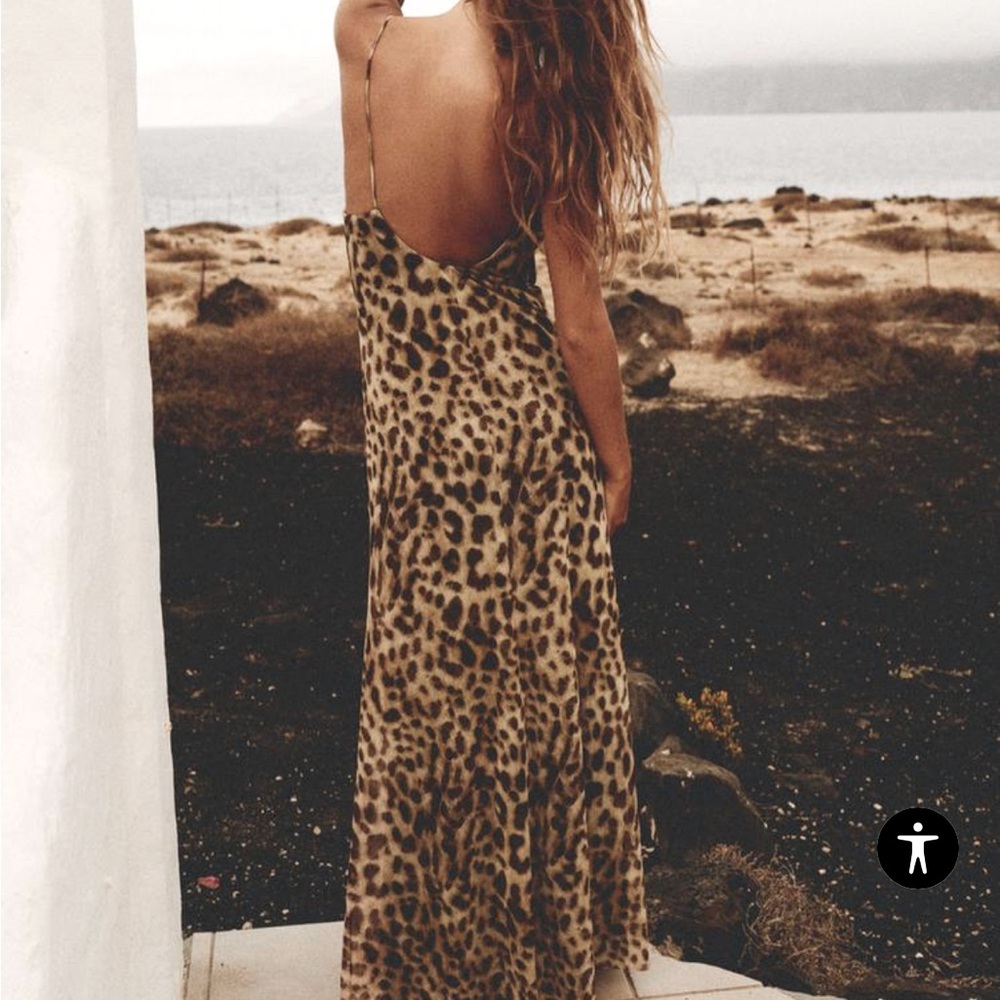Zara leopard dress